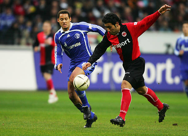 此次交易不 此次交易不